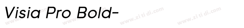 Visia Pro Bold字体转换